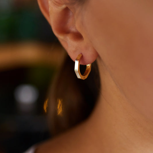 Large Hexagon Earrings