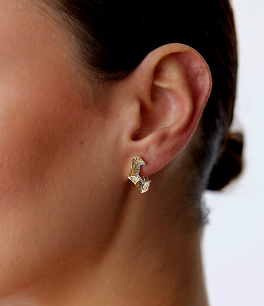 Roar Earring