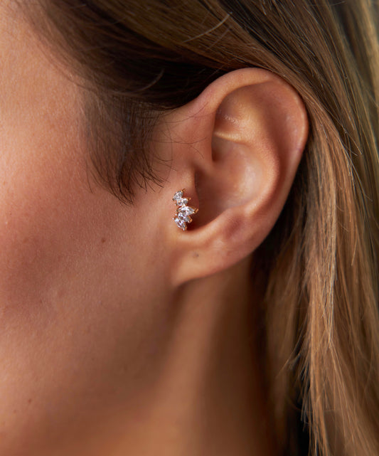 Five Marquise Tragus