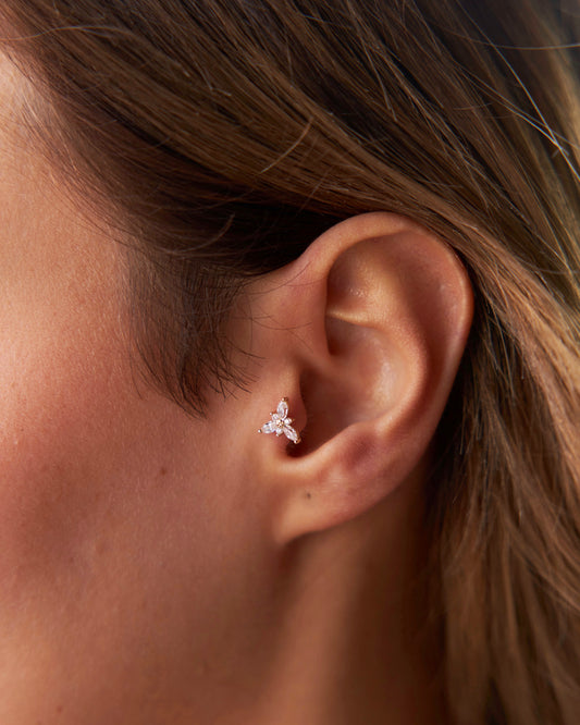 Three Marquise Tragus