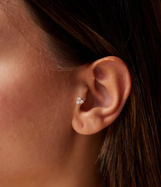 Triangle Seed Tragus