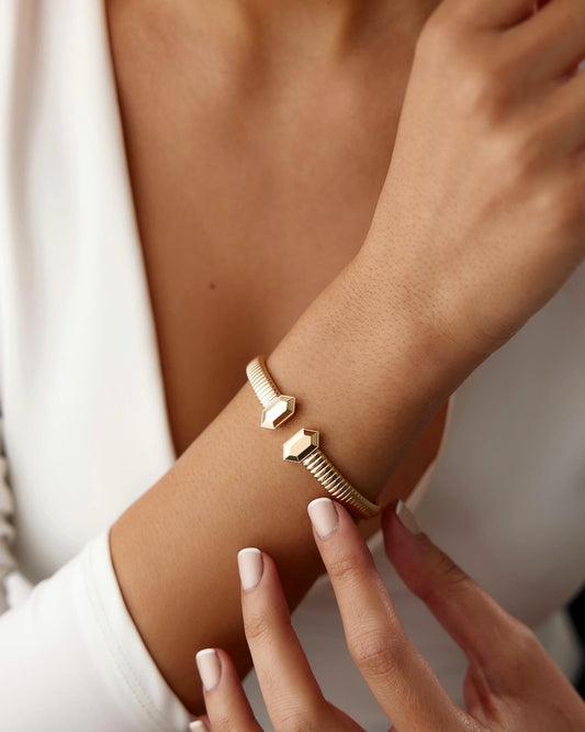 Çift Başlı Burgu Kelepçe