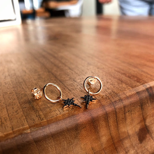Black Zircon Stone Polar Star Earrings