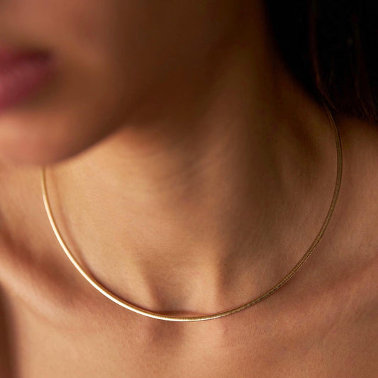 Double Color Thin Omega Choker