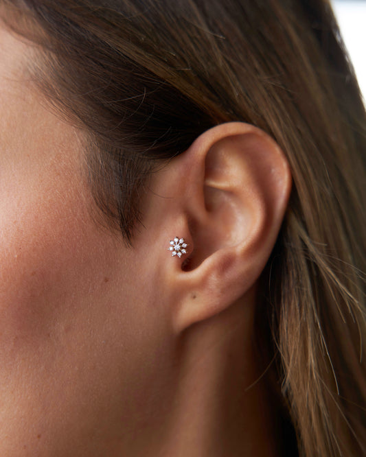 Flower Tragus