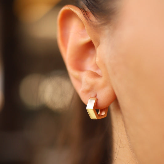 Large Hexagon Earrings