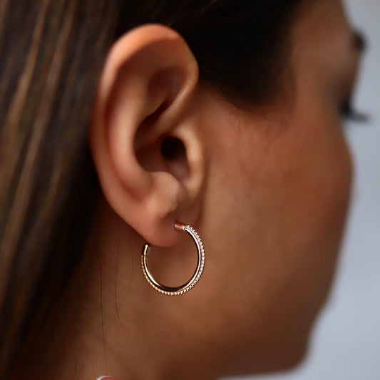 Row of Hoop Earrings
