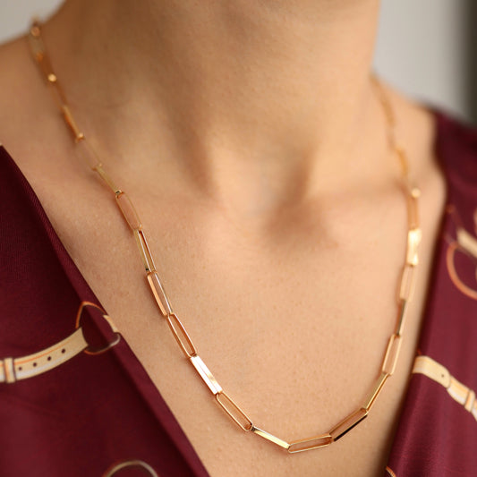 Plate Paper Clip Necklace