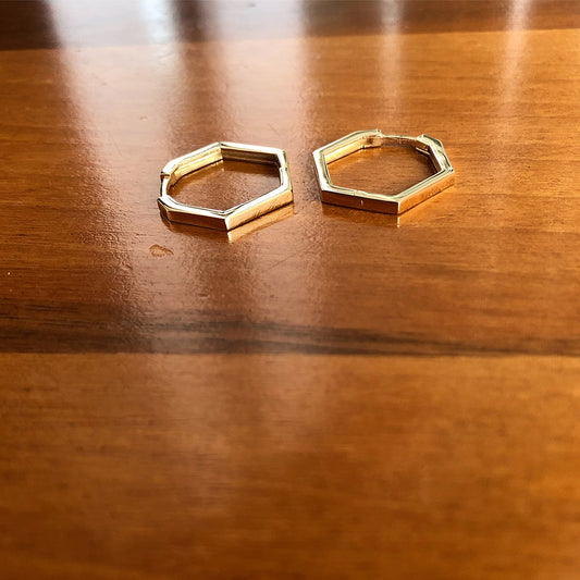 Large Hexagon Earrings
